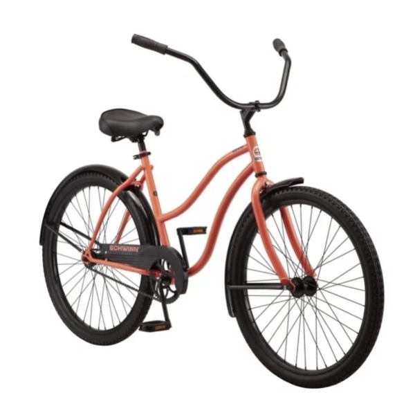 Adult Bike Rental (Featured)